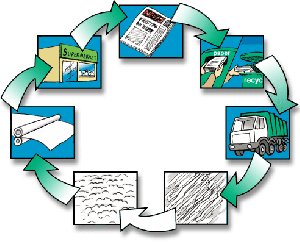 Process of Paper Recycling